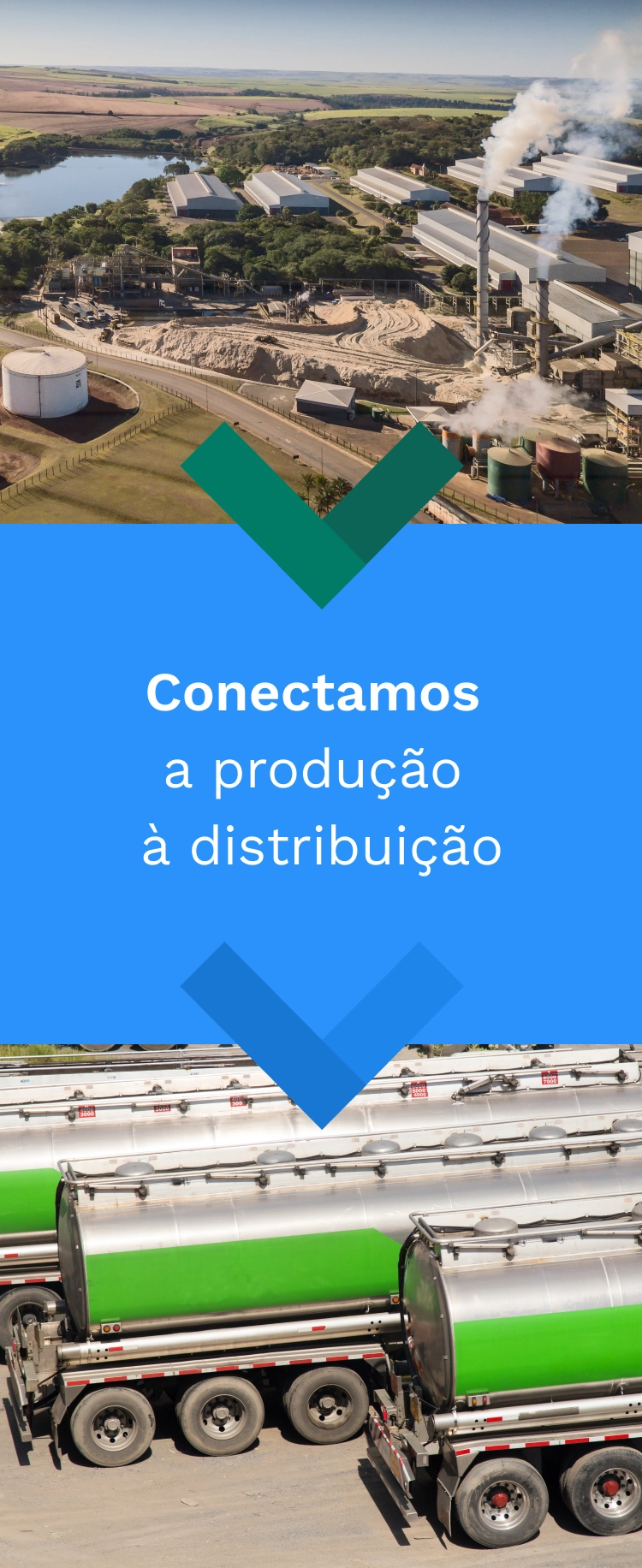 Imagem mostra fluxo do etanol desde a usina, passando pela atuação da Evolua até chegar à distribuição